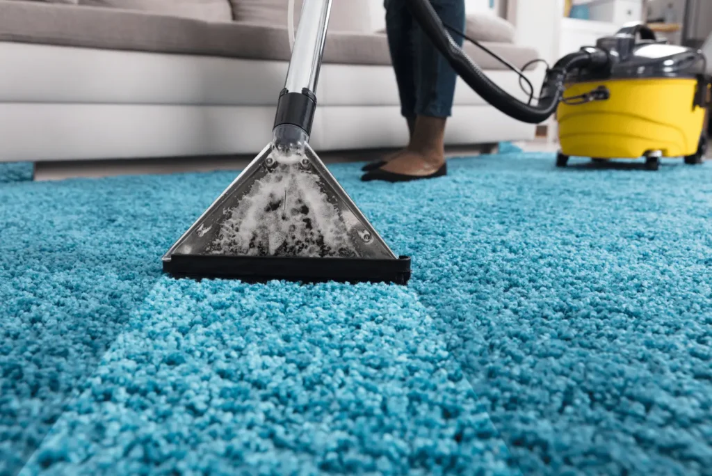 carpet cleaning services 1024x684